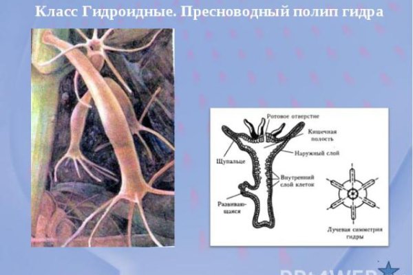 Как подключиться к даркнету