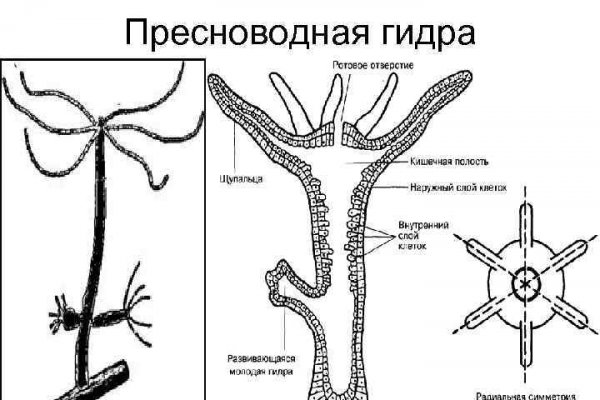 Как найти ссылку на кракен