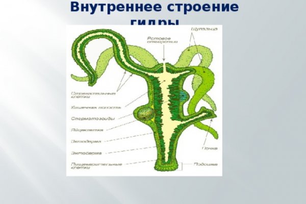 Кракен площадка торговая что это