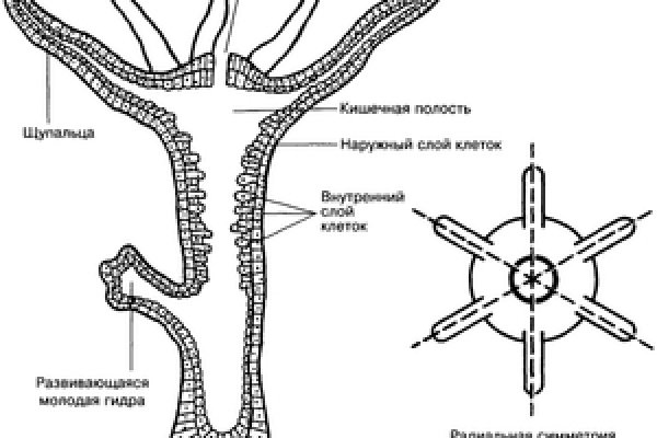 Как пополнить баланс кракен