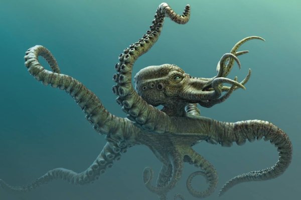 Kraken россия